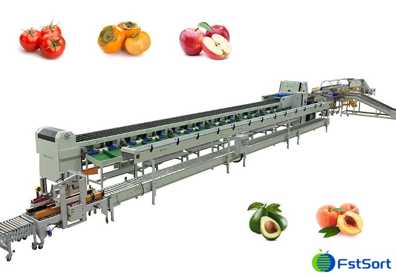 images/1710758432667fruit optical sorting machine.jpg